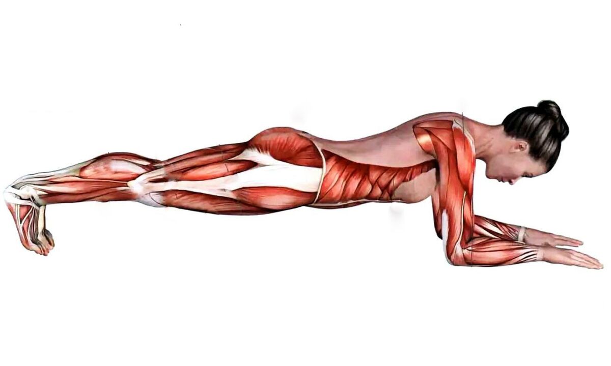 wat Muskelen schaffen wann Plank